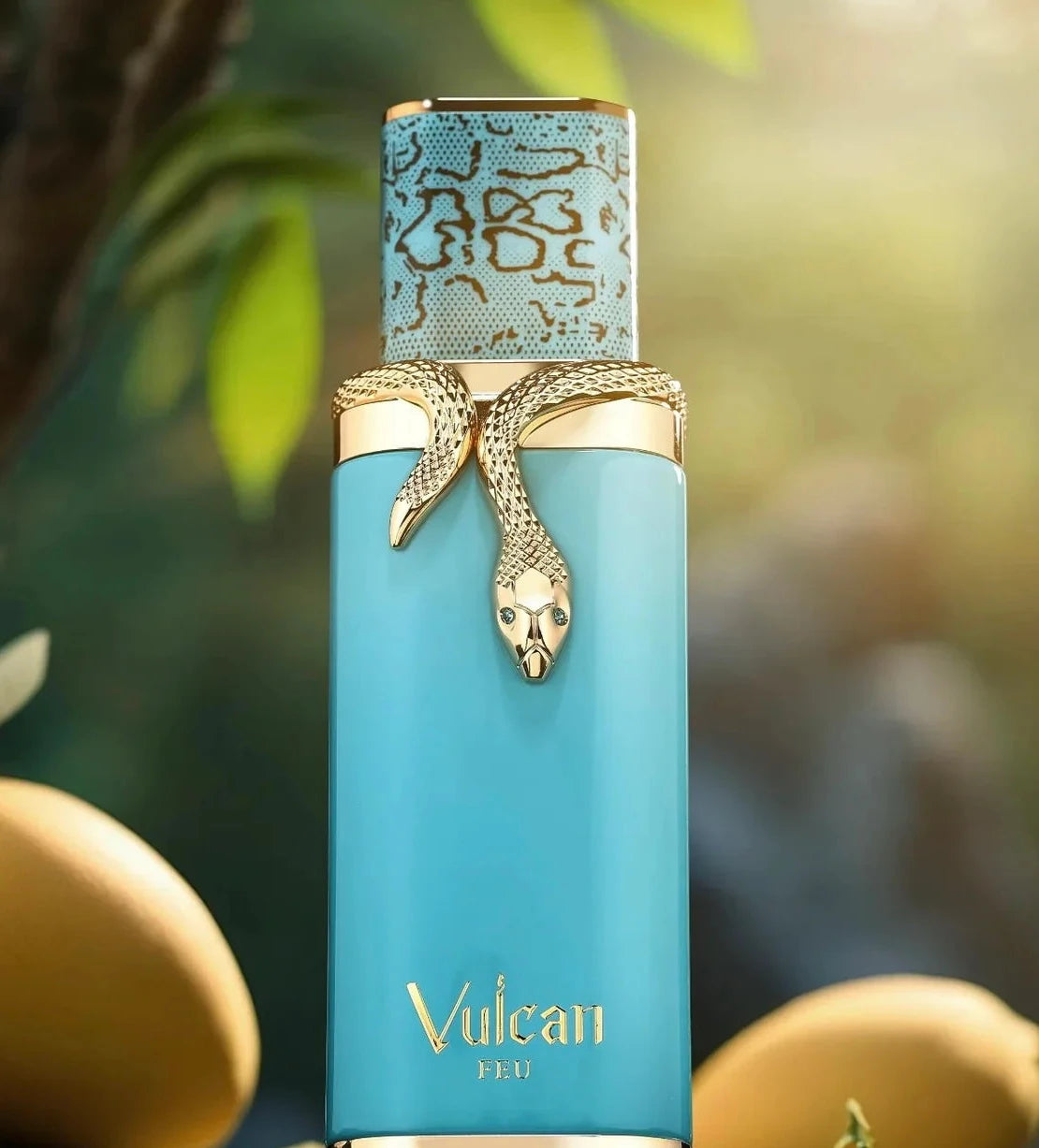 Vulcan Feu Eau de Parfum 100ML